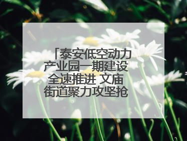 泰安低空动力产业园一期建设全速推进 文庙街道聚力攻坚抢抓“进度条”